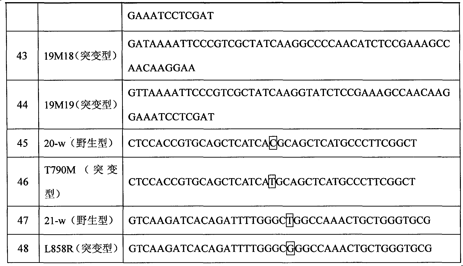 Liquid phase chip for detecting EGFR (epidermal growth factor receptor) gene mutation