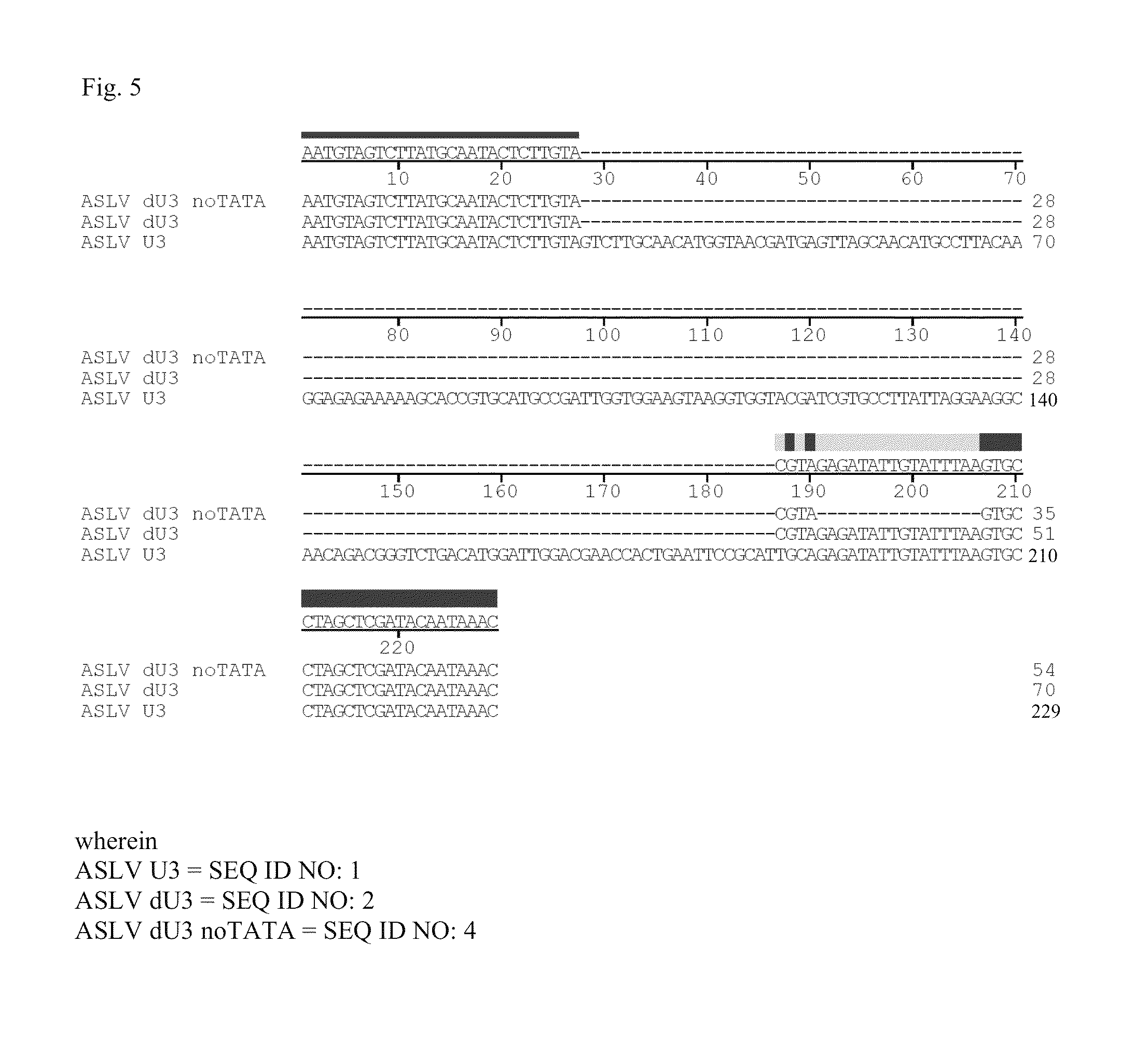 ASLV vector system