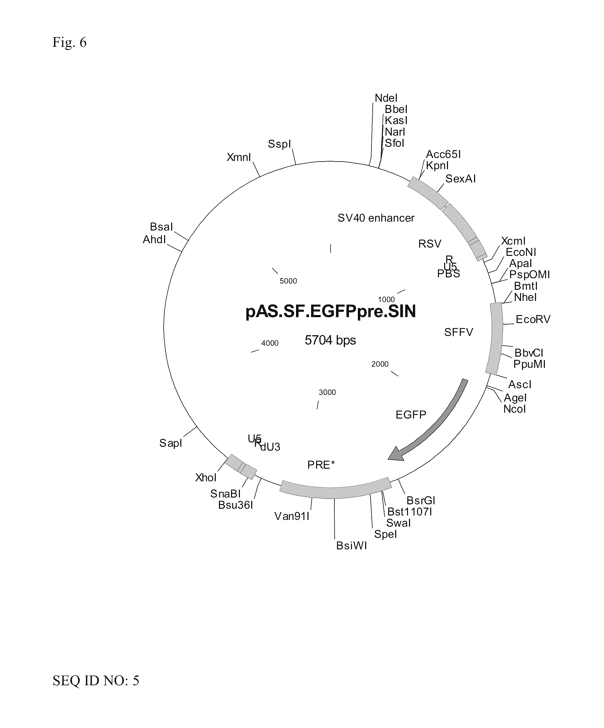 ASLV vector system