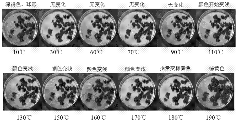 Method for testing performances of initiating explosive material changing with temperature