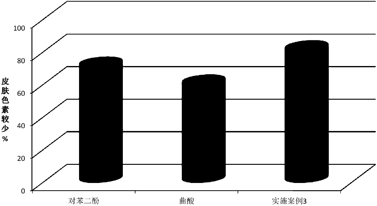 Skin-whitening and brightening composition and preparation method and application thereof