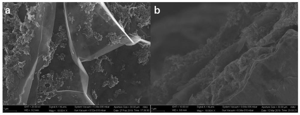 Preparation method of lithium-sulfur battery positive electrode aqueous conductive binder