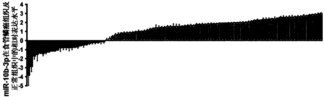 Marker microRNA-10b-3p for detecting esophageal squamous carcinoma and application in kit