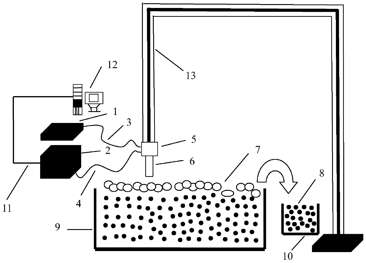 Optical fiber Raman system and method for tungsten flotation concentrate grade online detection