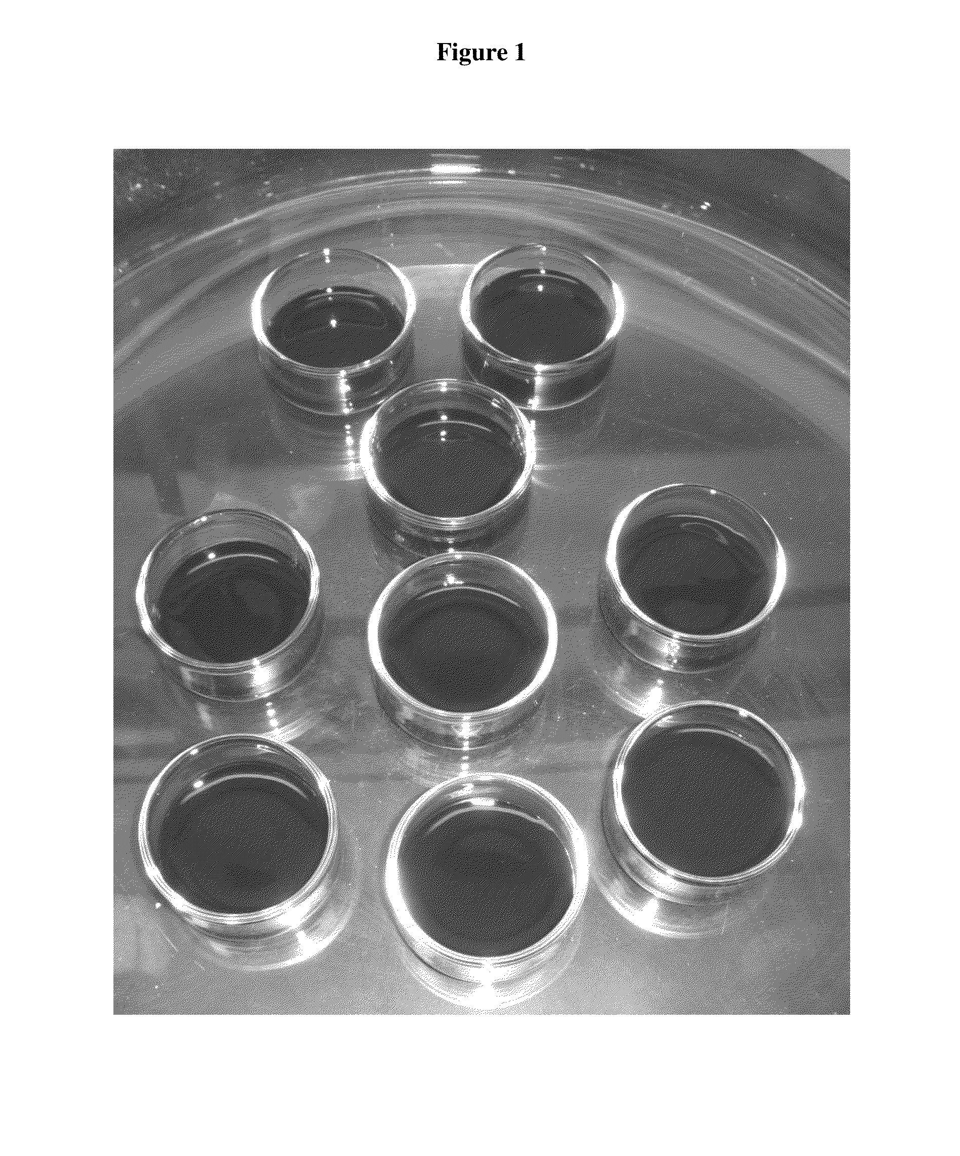 Method of making cohesive carbon assembly and its applications