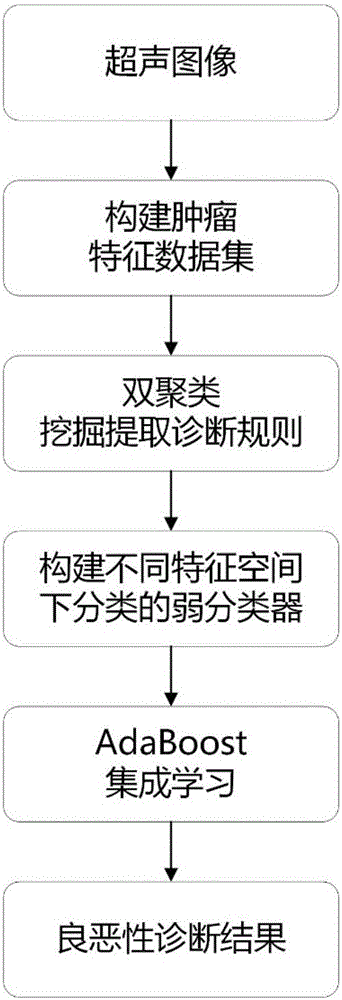 Bi-clustering mining and AdaBoost-based tumor classification method