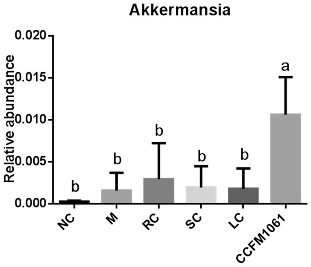 Bifidobacterium adolescentis ccfm1061, its fermented food and preparation method of bacterial agent