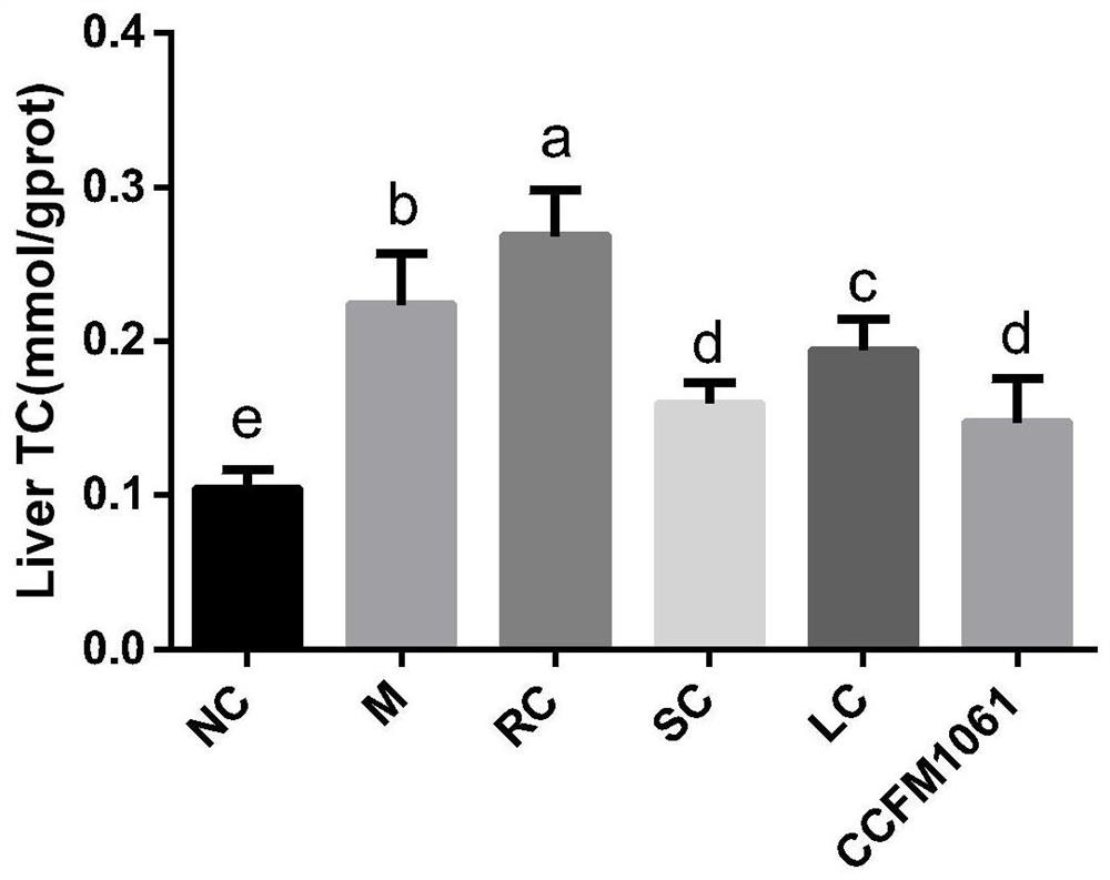 Bifidobacterium adolescentis ccfm1061, its fermented food and preparation method of bacterial agent