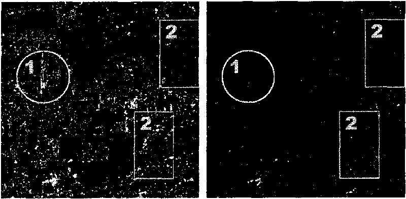 Information source variable single-pixel constraint ICA-based mixed pixel decomposition method