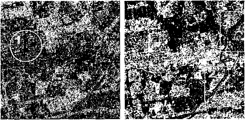 Information source variable single-pixel constraint ICA-based mixed pixel decomposition method