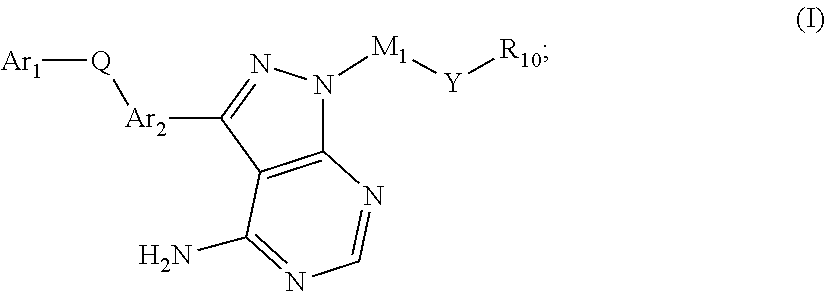 Polyfluorinated compounds acting as bruton tyrosine kinase inhibitors