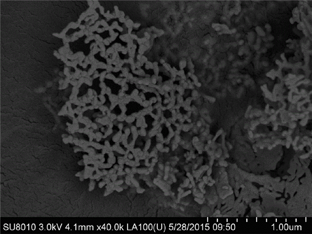 Method for preparing lanthanum aluminate/lanthanum chromate by spraying pyrolysis