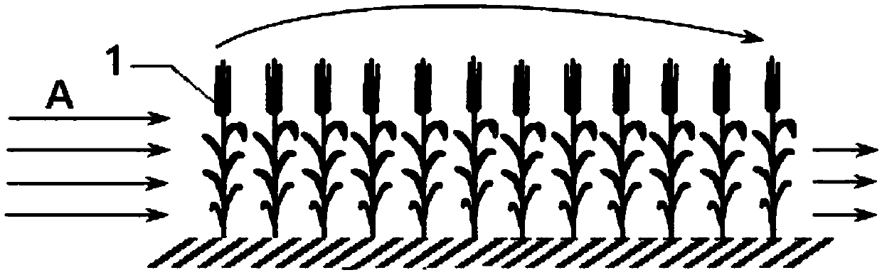 Farmland wind-erosion-preventing planting method in desert oasis areas