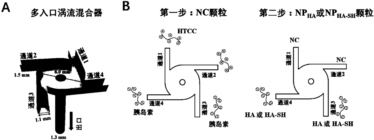 Oral insulin nanometer granular preparation and method for preparing same