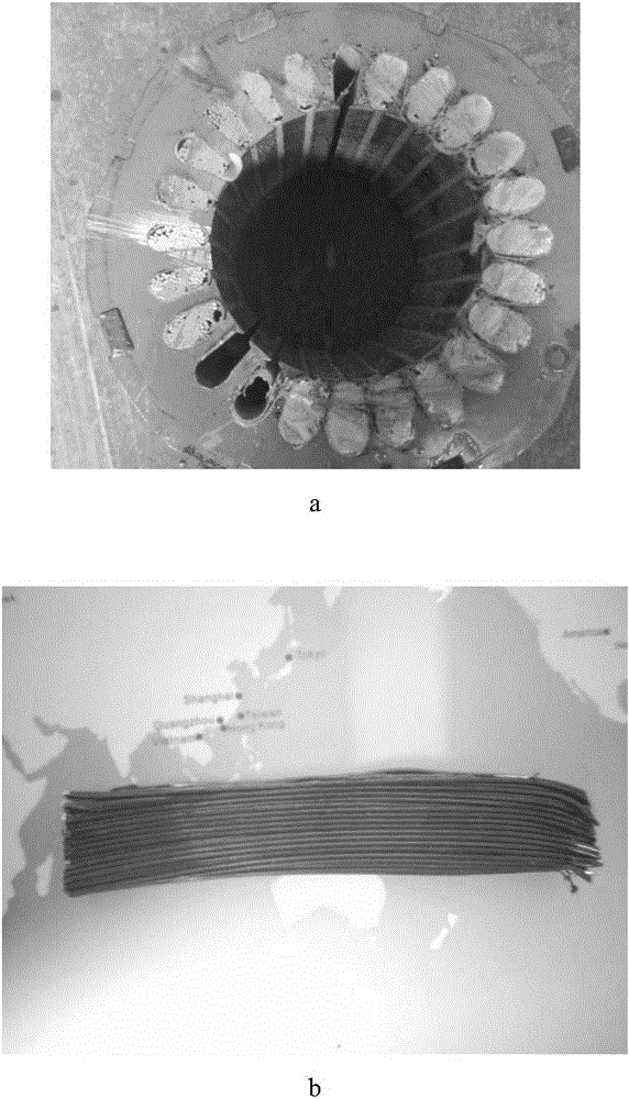 Waterborne epoxy impregnating insulating varnish and preparation method thereof