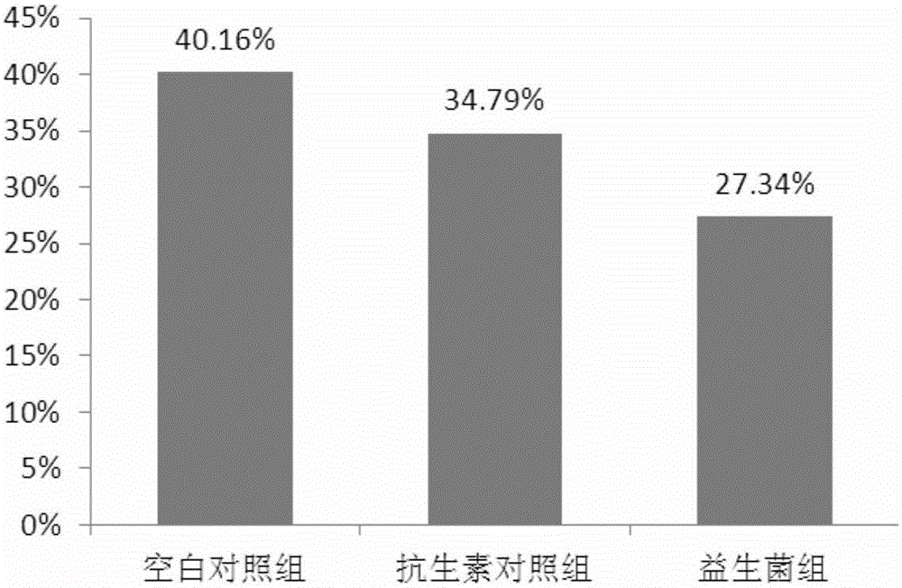 Application of lactobacillus reuteri in replacement of feed antibiotic