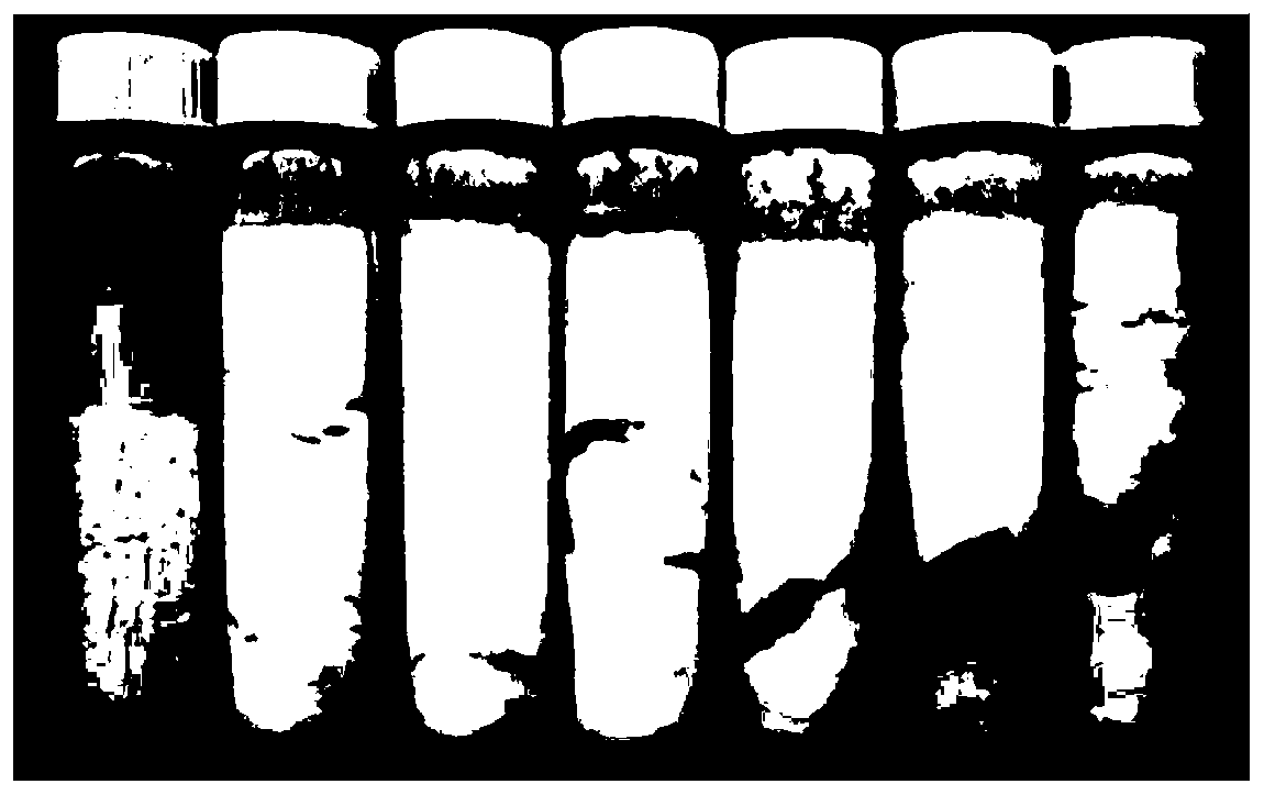 Copolymer and its application and oil-based drilling fluid stabilizer and its preparation method and oil-based drilling fluid