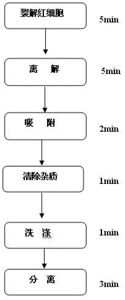 Micro-blood RNA (ribonucleic acid) quick separation method through nucleic acid adsorption