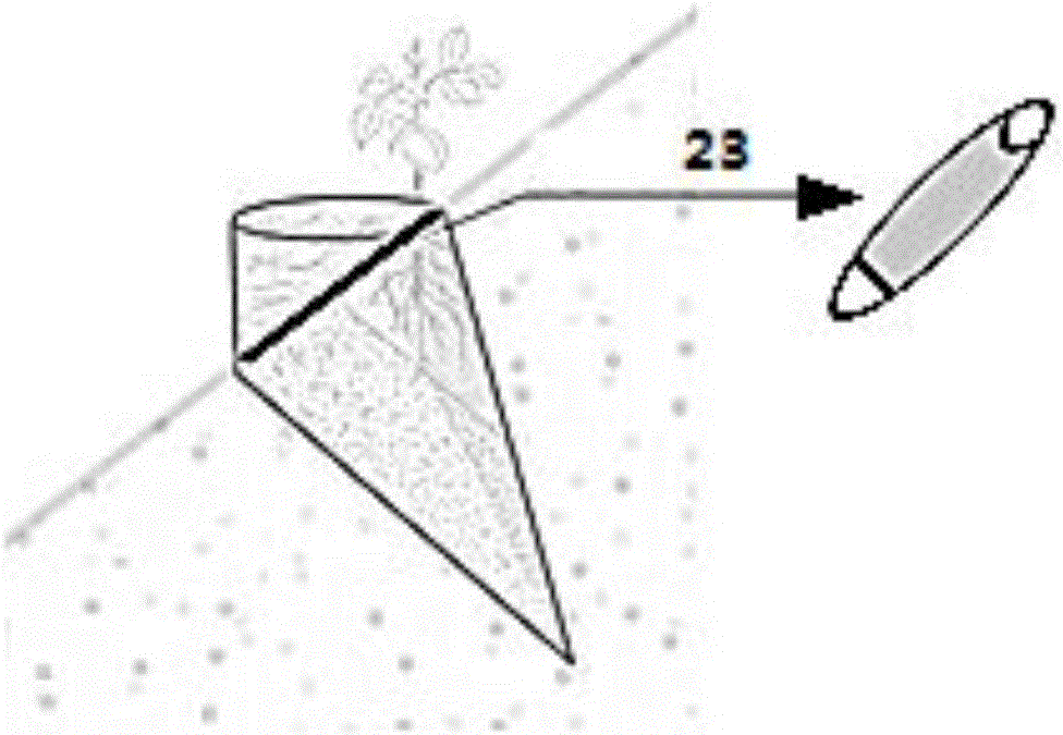 Ecological slope protection structure favorable for growth and reproduction of plants and using method of ecological slope protection structure