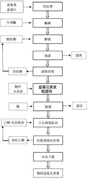 Efficient extraction method for blueberry anthocyanin