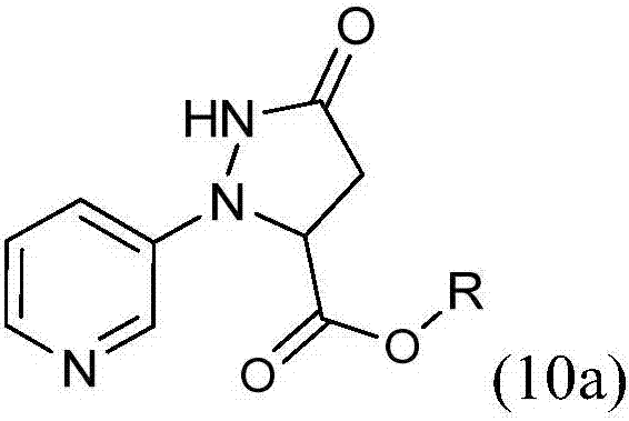 Process for the preparation of 3-(3-chloro-1h-pyrazol-1-yl)pyridine