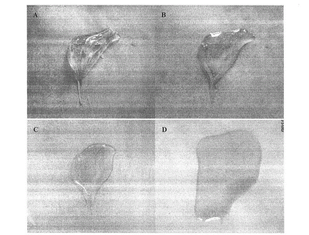 Deliquescent-polyelectrolyte-based full-solid-state ethanol gas sensor enzyme electrode and manufacturing method thereof