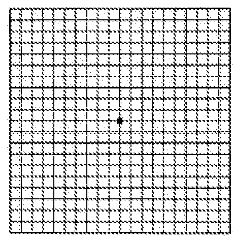 A system and method for displaying a video image