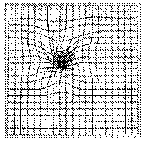 A system and method for displaying a video image