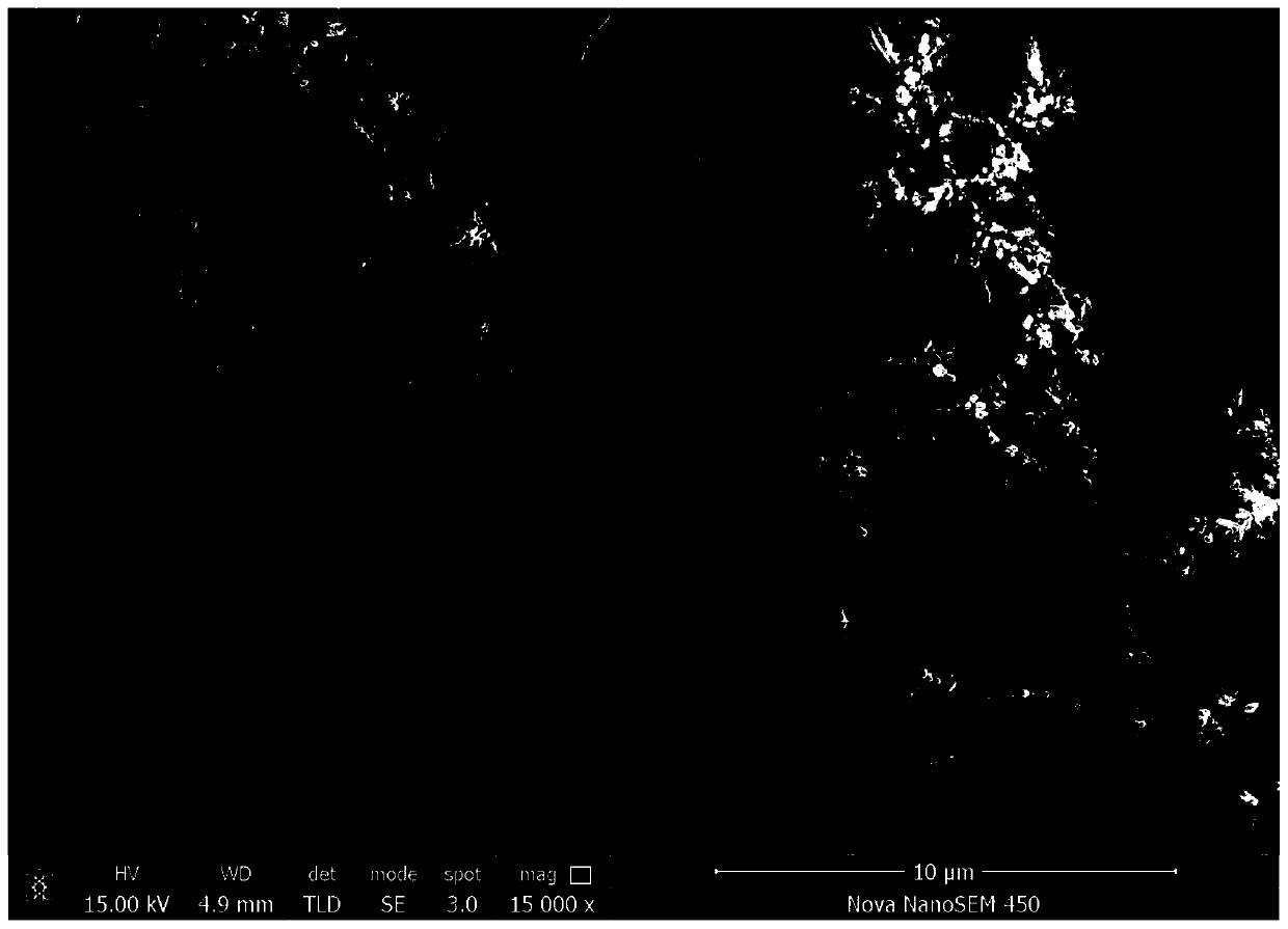 Method for rapid preparation of copper/polytetrafluoroethylene super-amphiphobic coating