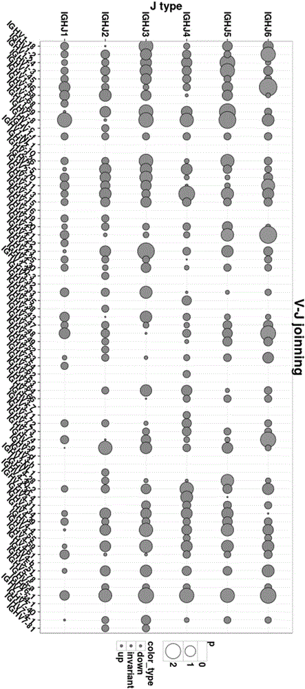 BCR diversity detection kit and application thereof