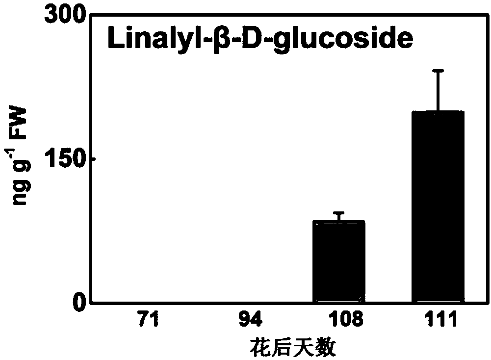 Gene participating in forming of peach fruit combined state linalool and application thereof