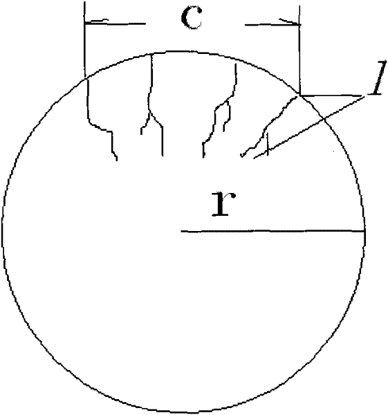 Recombinant vector, fibroin film modified by transgenic marrow stromal cells and application thereof