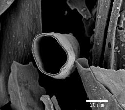 Magnetic-guide self-propelled micro/nano motor based on gamma-Fe2O3/MnO2 and preparation method of micro/nano motor