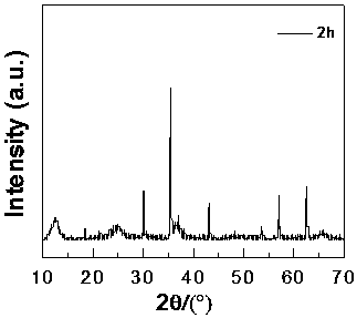 Magnetic-guide self-propelled micro/nano motor based on gamma-Fe2O3/MnO2 and preparation method of micro/nano motor