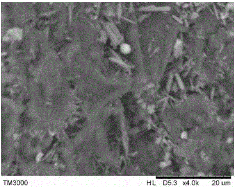 Sodalite zeolite synthesized from fly ash and method