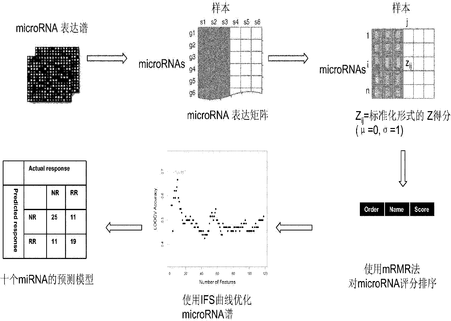 Blood plasma miRNA spectrum and detection kit used for predicting chronic hepatitis b curative effect of interferon