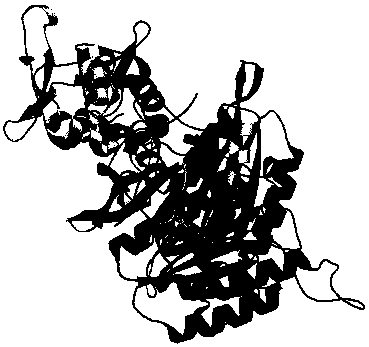 RDA method and kit for rapidly detecting influenza A virus