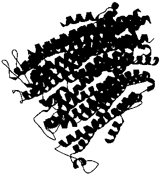 RDA method and kit for rapidly detecting influenza A virus