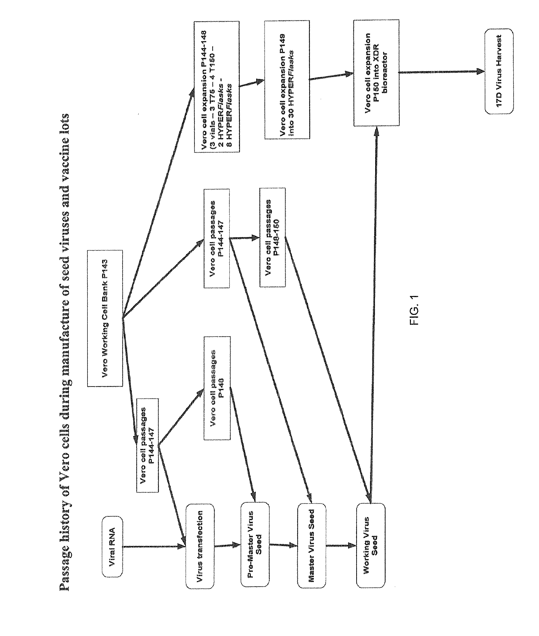 High yield yellow fever virus strain with increased propagation in cells