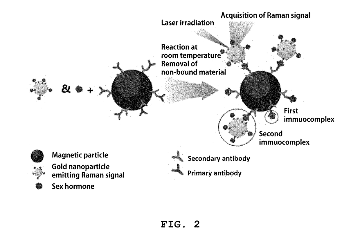 Reagent kit for detecting sex hormone and method for detecting sex hormone using same