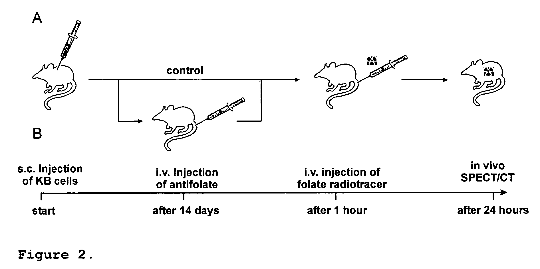 Method for cell-specific targeting