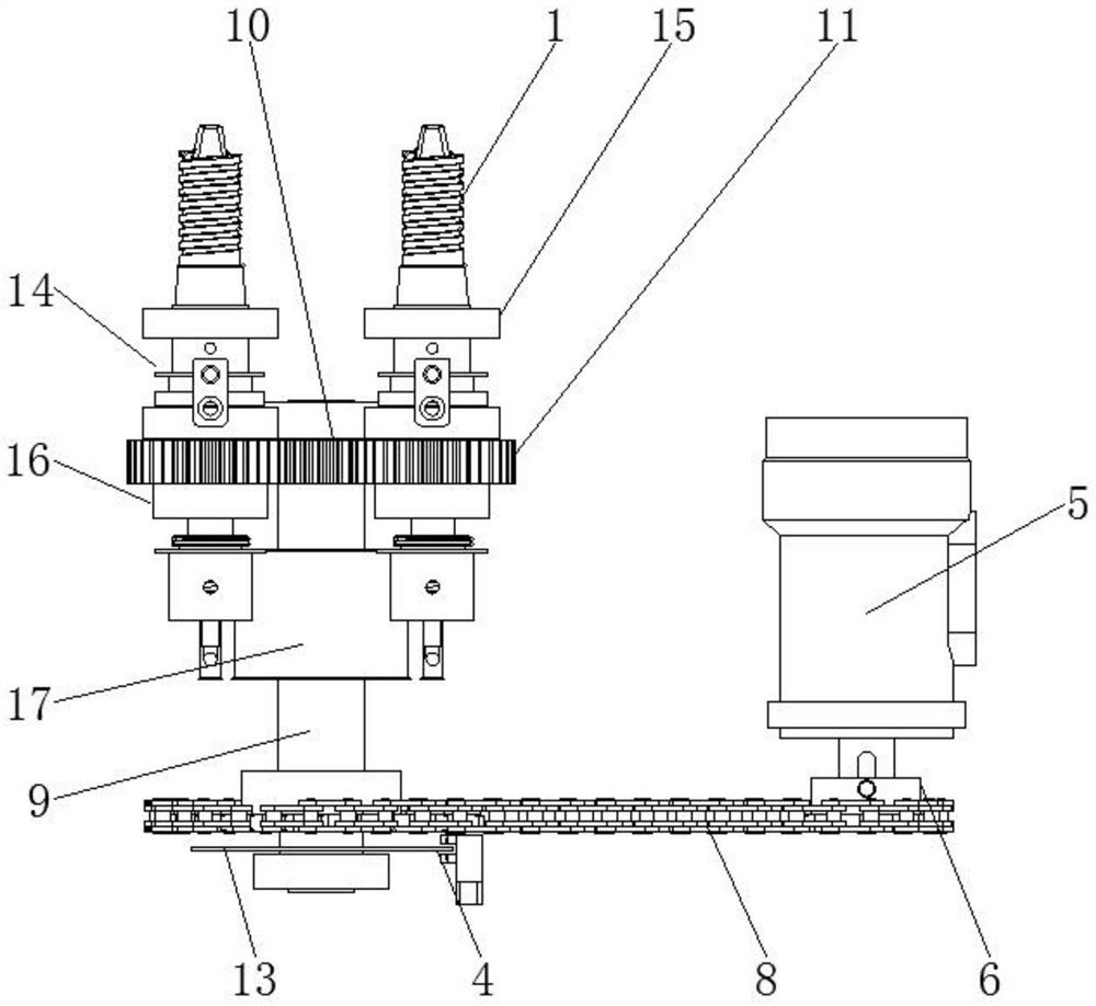 Nut preparation equipment