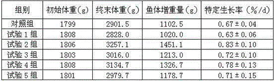 Mushroom bran protein peptide capable of replacing fish meal and preparation method and application of mushroom bran protein peptide in aquaculture