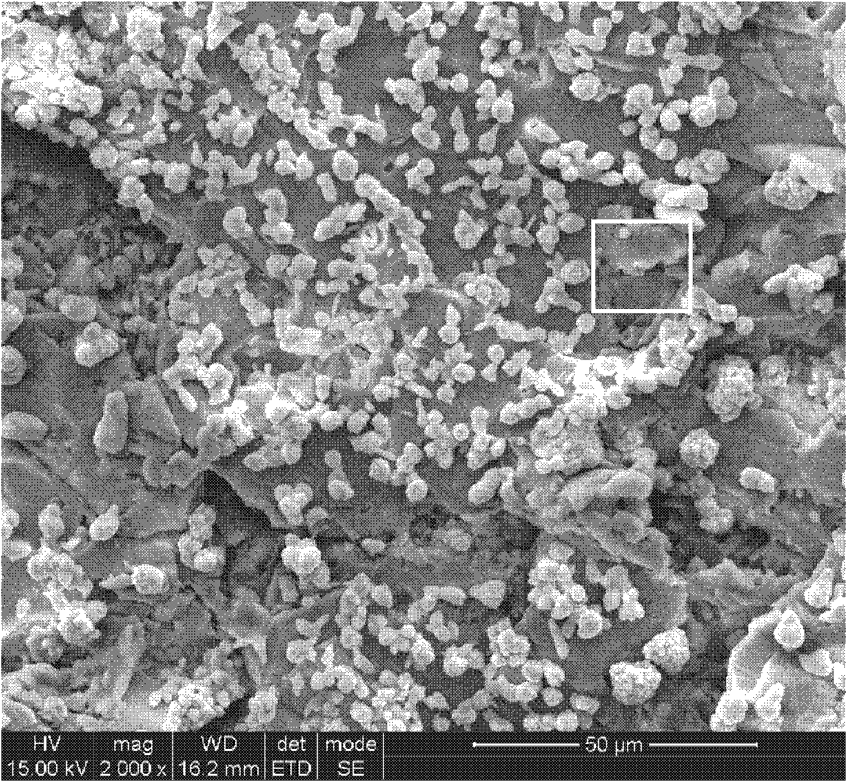 Method for plasma spraying of Ca-P bioactive coating on surface of magnesium alloy