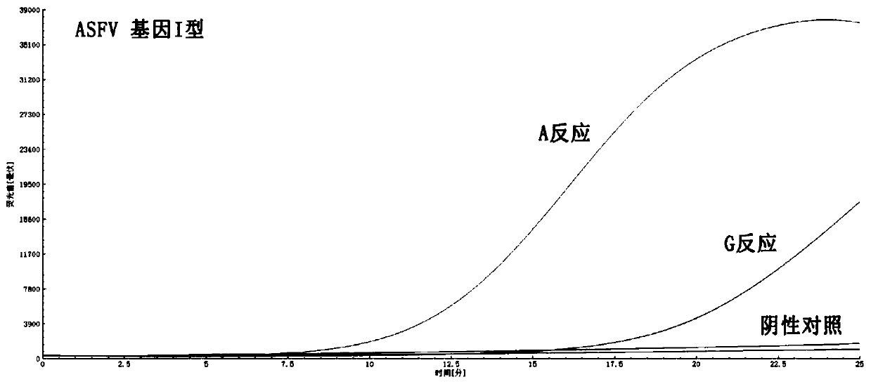 Quick identifying and diagnosing method for African swine fever virus gene I type and African swine fever virus gene II type