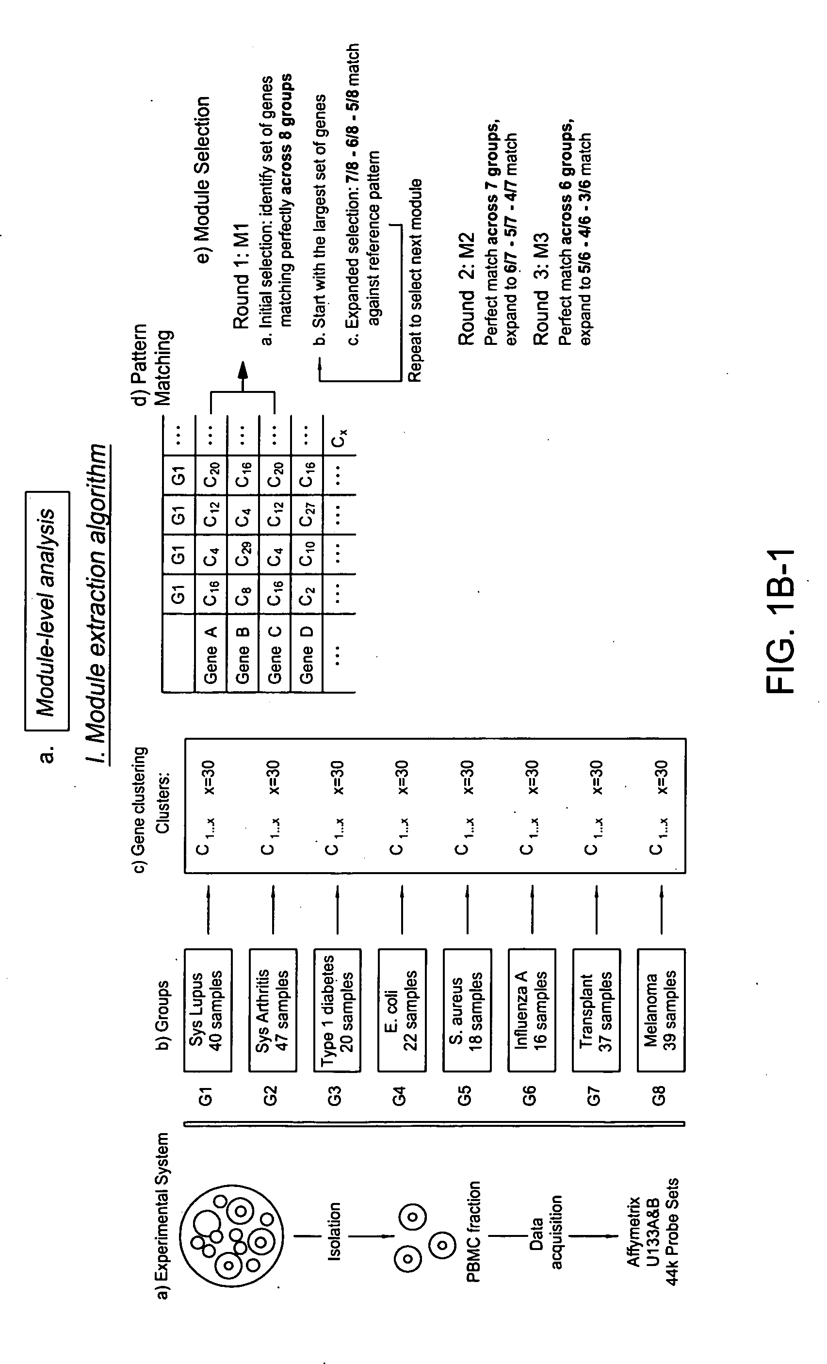 Diagnosis, prognosis and monitoring of disease progression of systemic lupus erythematosus through blood leukocyte microarray analysis