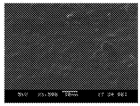 Conformable reversible adhesives with shape memory assisted delamination