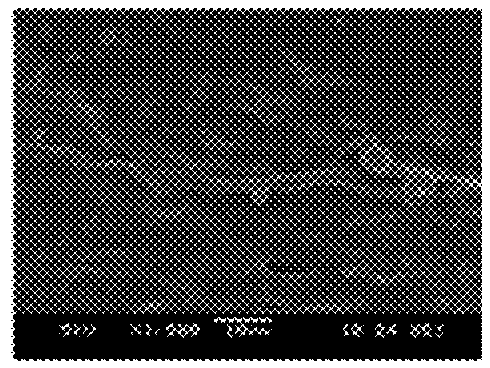 Conformable reversible adhesives with shape memory assisted delamination