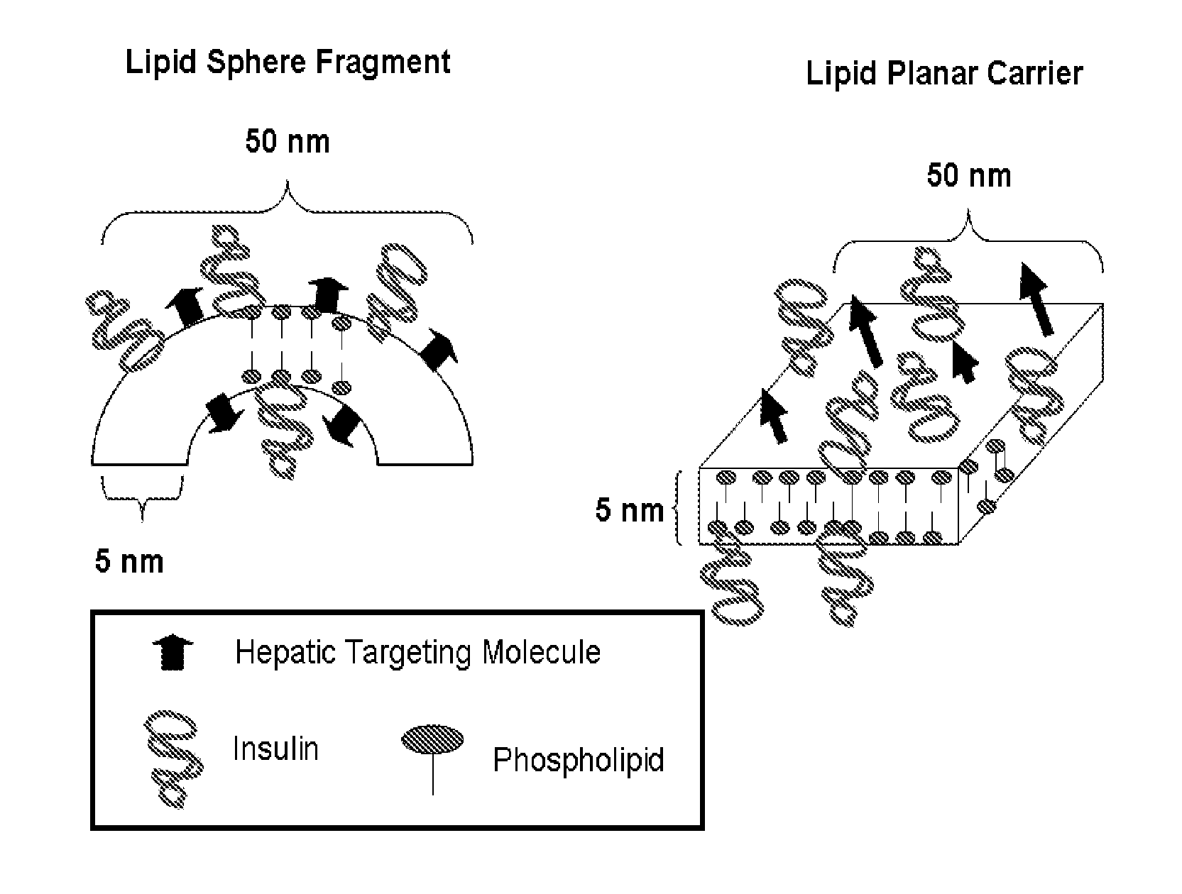 Orally Bioavailable Lipid-Based Constructs