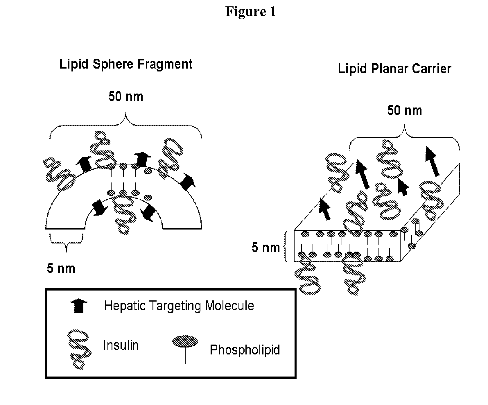 Orally Bioavailable Lipid-Based Constructs